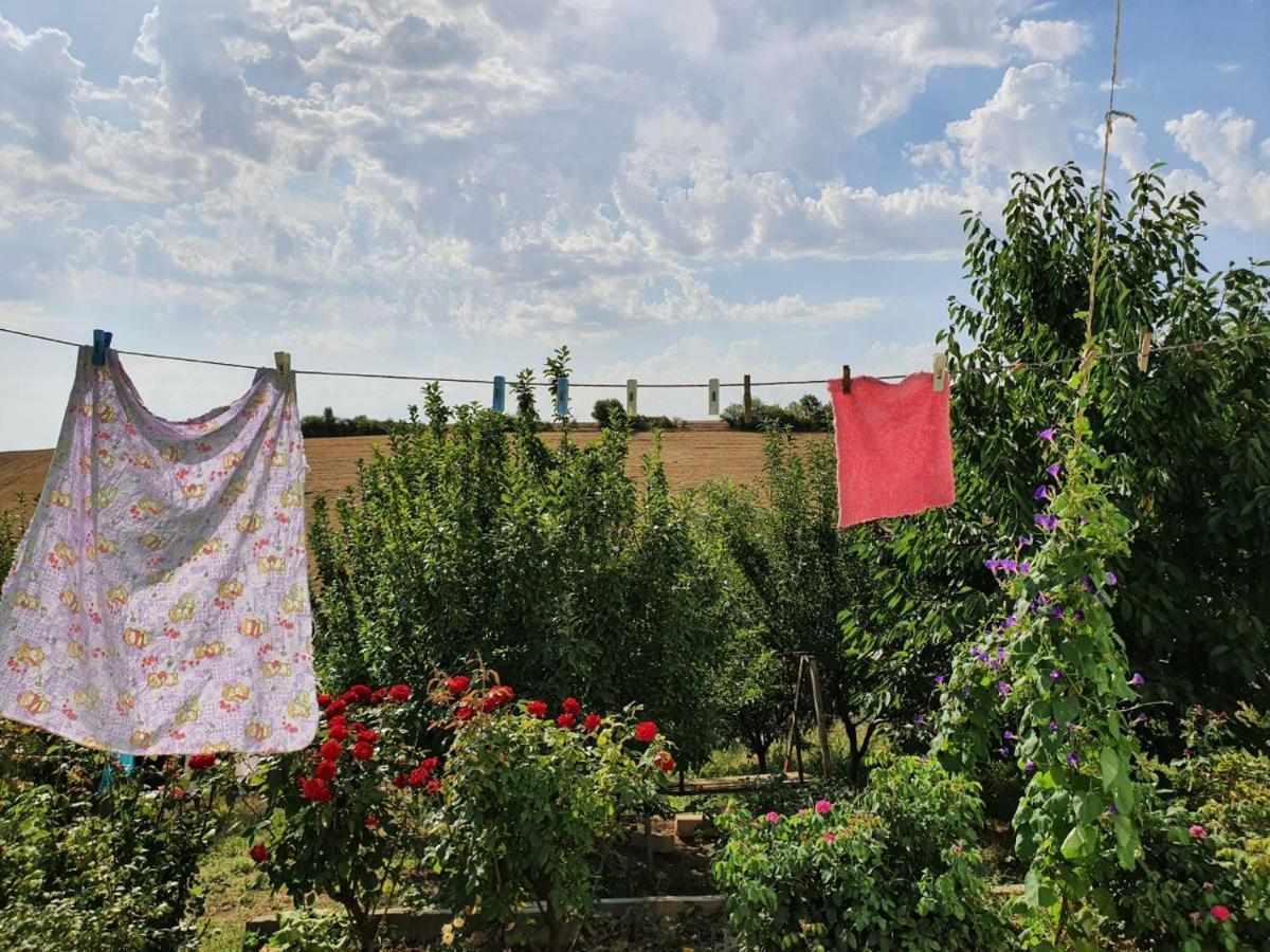 La Casa De Habel Villa Kuba Dış mekan fotoğraf