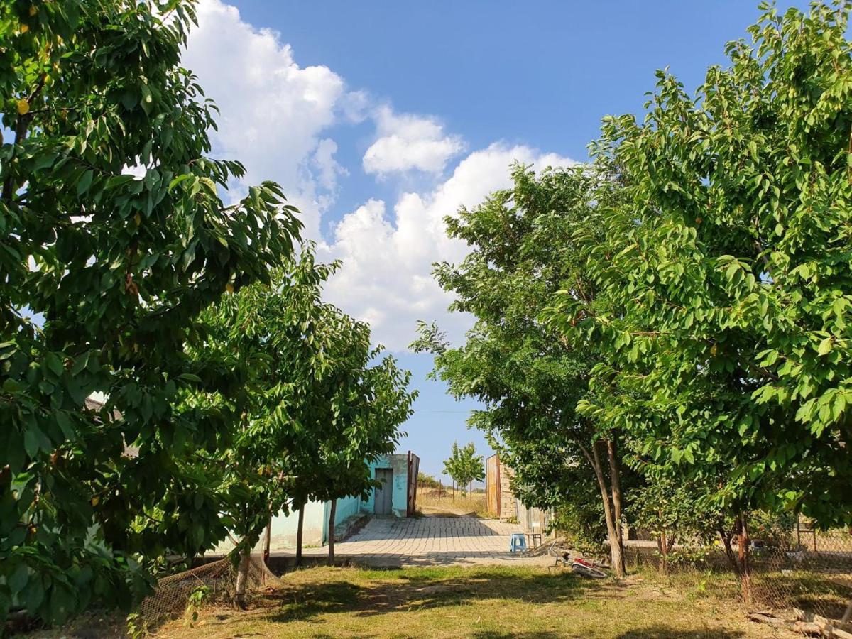 La Casa De Habel Villa Kuba Dış mekan fotoğraf
