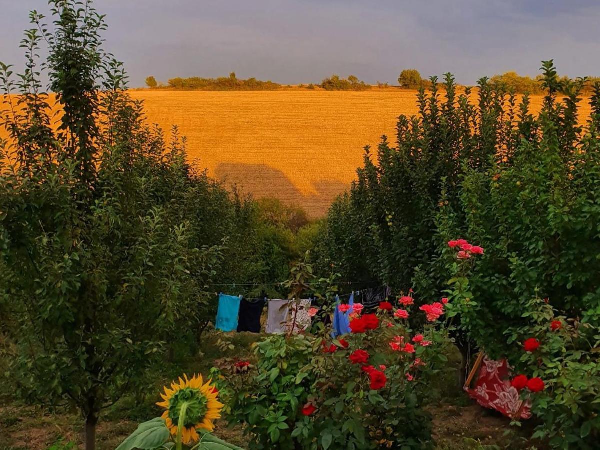 La Casa De Habel Villa Kuba Dış mekan fotoğraf
