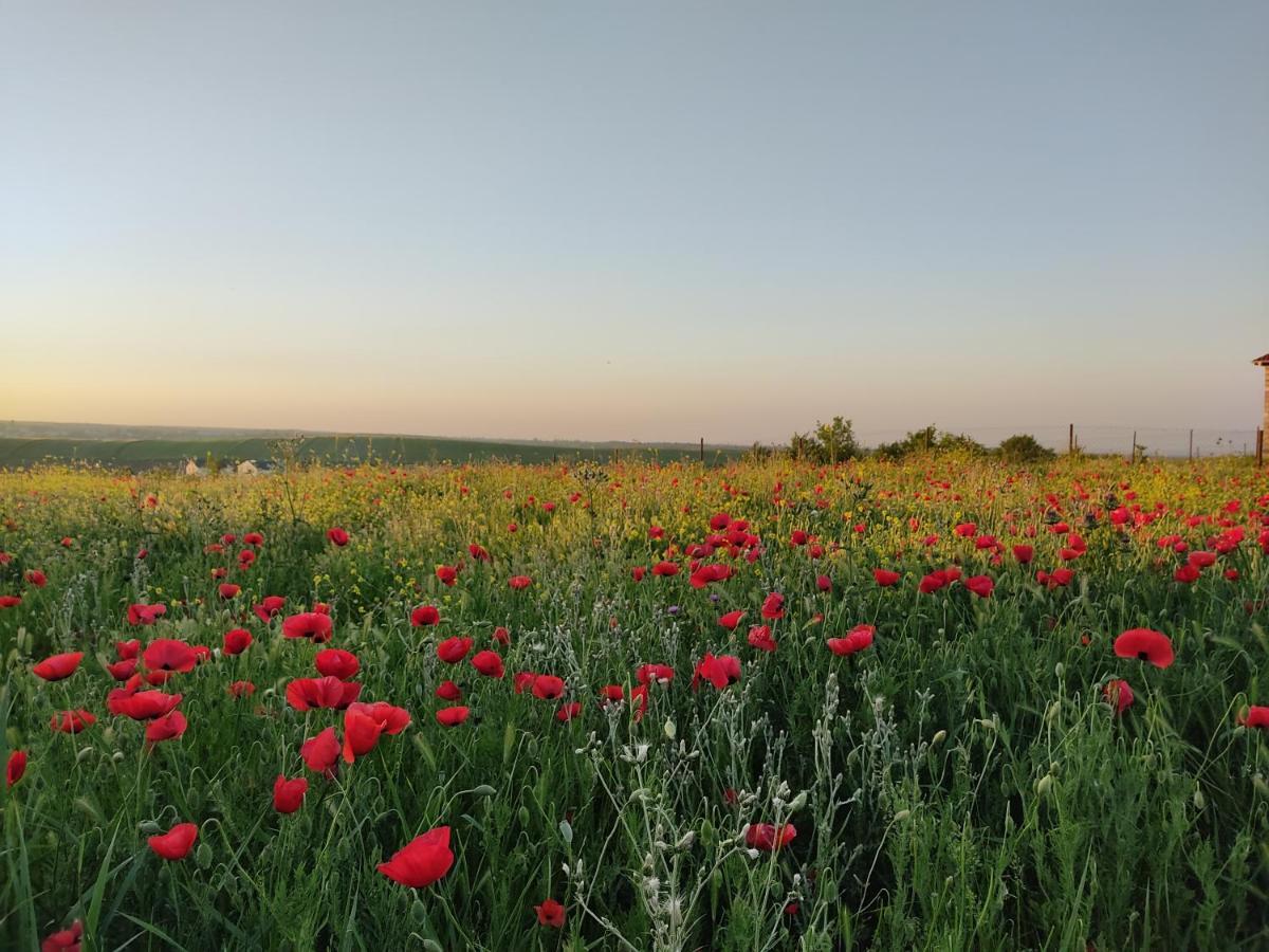 La Casa De Habel Villa Kuba Dış mekan fotoğraf