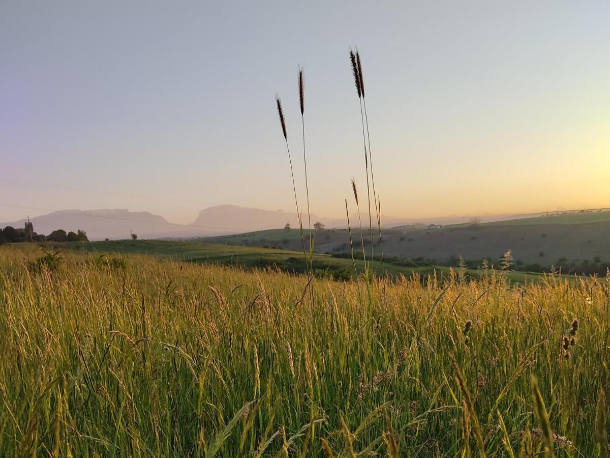 La Casa De Habel Villa Kuba Dış mekan fotoğraf
